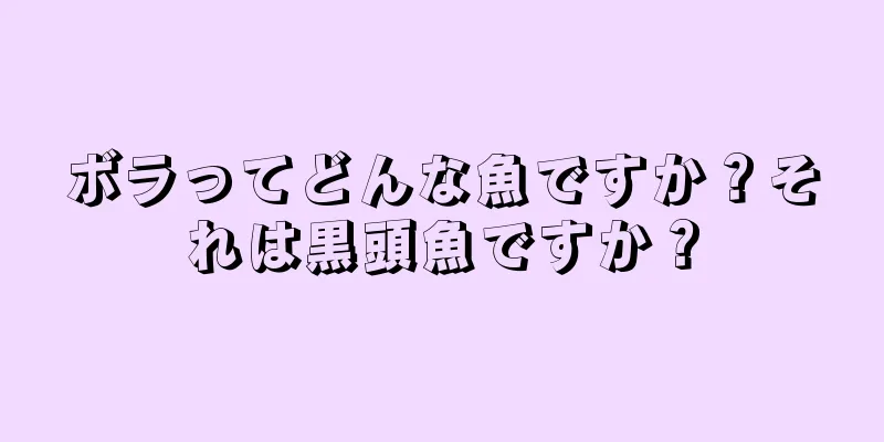 ボラってどんな魚ですか？それは黒頭魚ですか？