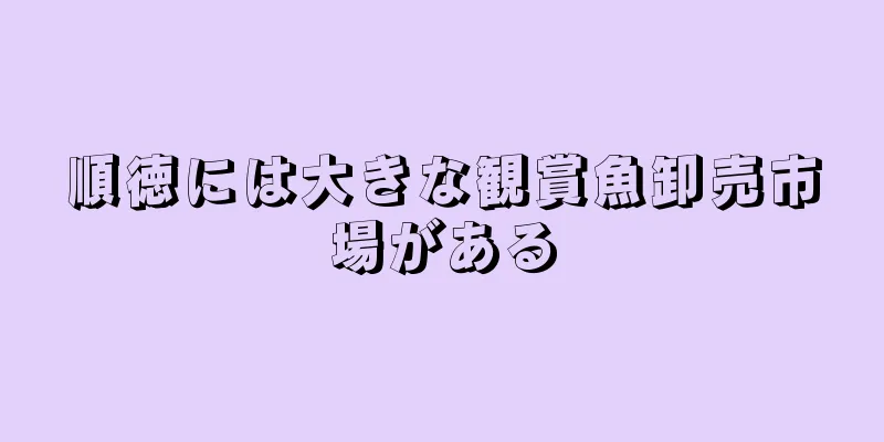 順徳には大きな観賞魚卸売市場がある