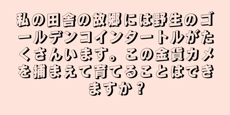 私の田舎の故郷には野生のゴールデンコインタートルがたくさんいます。この金貨カメを捕まえて育てることはできますか？
