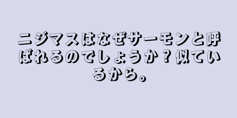 ニジマスはなぜサーモンと呼ばれるのでしょうか？似ているから。