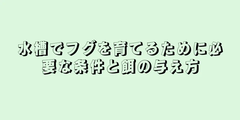 水槽でフグを育てるために必要な条件と餌の与え方