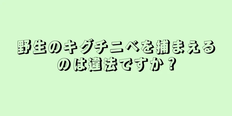 野生のキグチニベを捕まえるのは違法ですか？