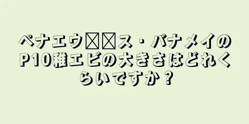 ペナエウ​​ス・バナメイのP10稚エビの大きさはどれくらいですか？