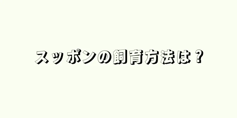 スッポンの飼育方法は？