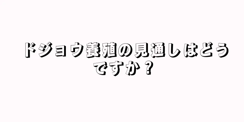 ドジョウ養殖の見通しはどうですか？