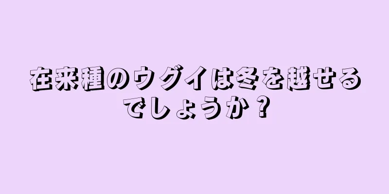 在来種のウグイは冬を越せるでしょうか？