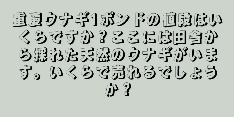 重慶ウナギ1ポンドの値段はいくらですか？ここには田舎から採れた天然のウナギがいます。いくらで売れるでしょうか？