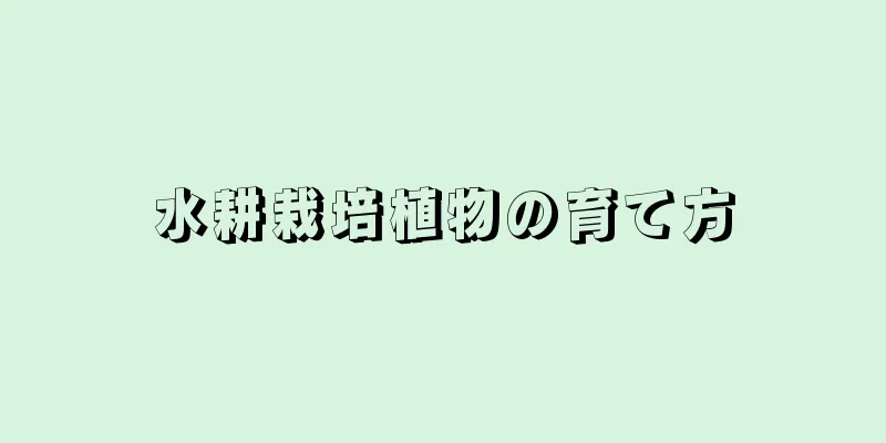 水耕栽培植物の育て方