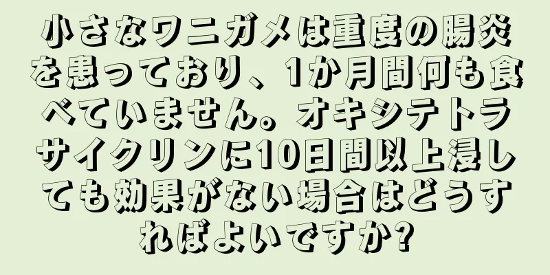 小さなワニガメは重度の腸炎を患っており、1か月間何も食べていません。オキシテトラサイクリンに10日間以上浸しても効果がない場合はどうすればよいですか?