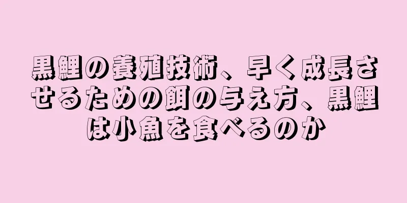 黒鯉の養殖技術、早く成長させるための餌の与え方、黒鯉は小魚を食べるのか
