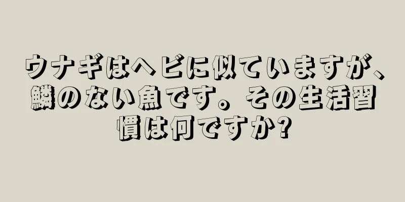 ウナギはヘビに似ていますが、鱗のない魚です。その生活習慣は何ですか?