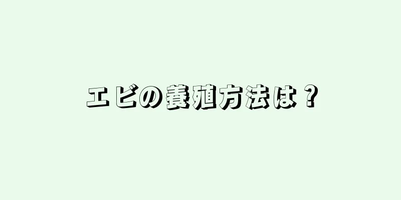 エビの養殖方法は？
