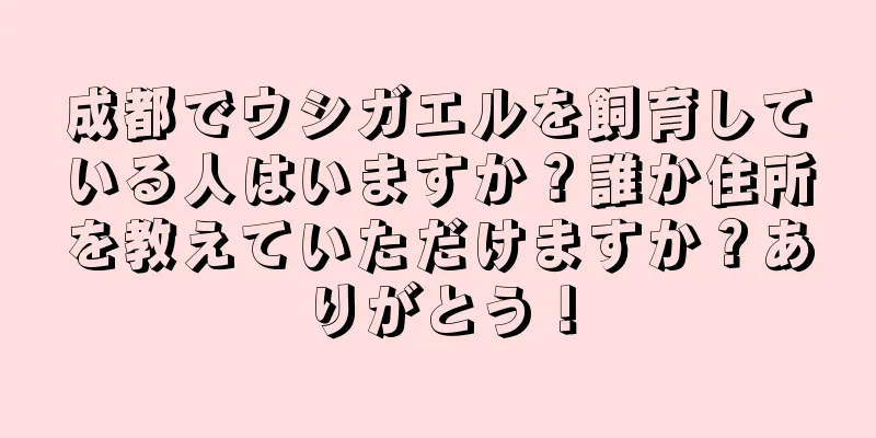 成都でウシガエルを飼育している人はいますか？誰か住所を教えていただけますか？ありがとう！