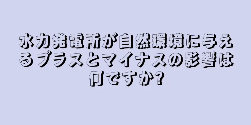 水力発電所が自然環境に与えるプラスとマイナスの影響は何ですか?