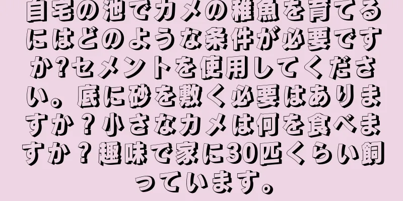 自宅の池でカメの稚魚を育てるにはどのような条件が必要ですか?セメントを使用してください。底に砂を敷く必要はありますか？小さなカメは何を食べますか？趣味で家に30匹くらい飼っています。