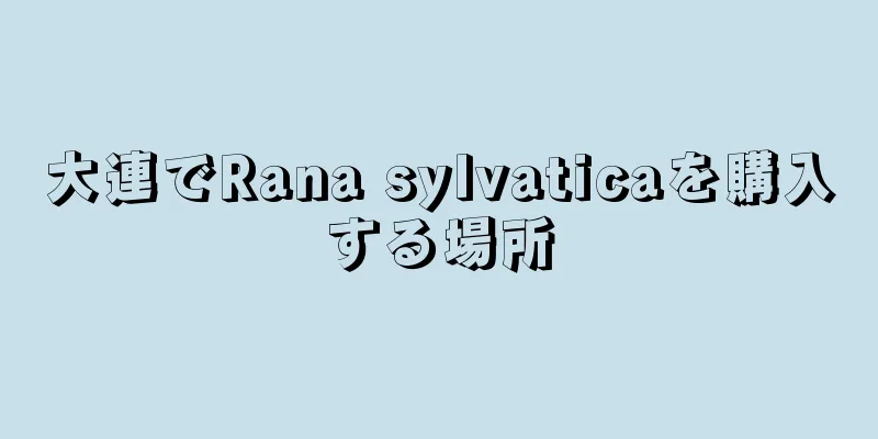 大連でRana sylvaticaを購入する場所