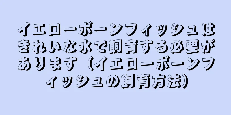 イエローボーンフィッシュはきれいな水で飼育する必要があります（イエローボーンフィッシュの飼育方法）