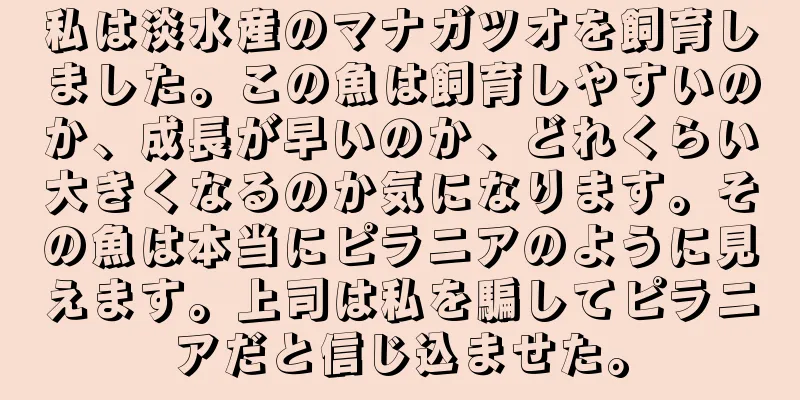 私は淡水産のマナガツオを飼育しました。この魚は飼育しやすいのか、成長が早いのか、どれくらい大きくなるのか気になります。その魚は本当にピラニアのように見えます。上司は私を騙してピラニアだと信じ込ませた。