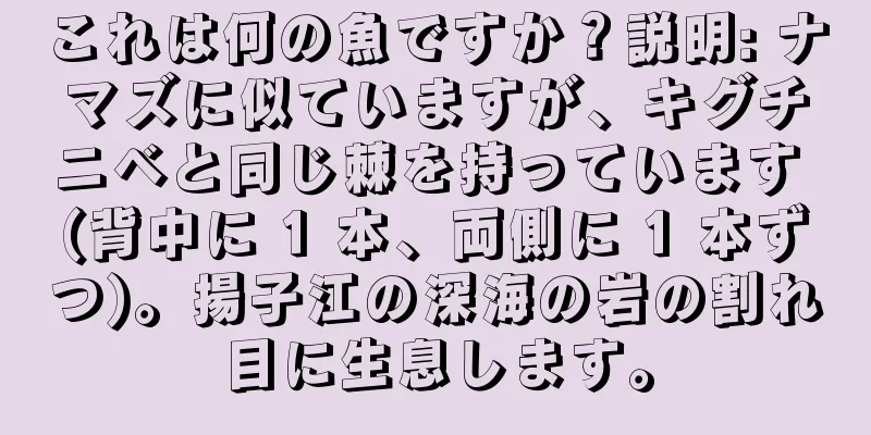 これは何の魚ですか？説明: ナマズに似ていますが、キグチニベと同じ棘を持っています (背中に 1 本、両側に 1 本ずつ)。揚子江の深海の岩の割れ目に生息します。