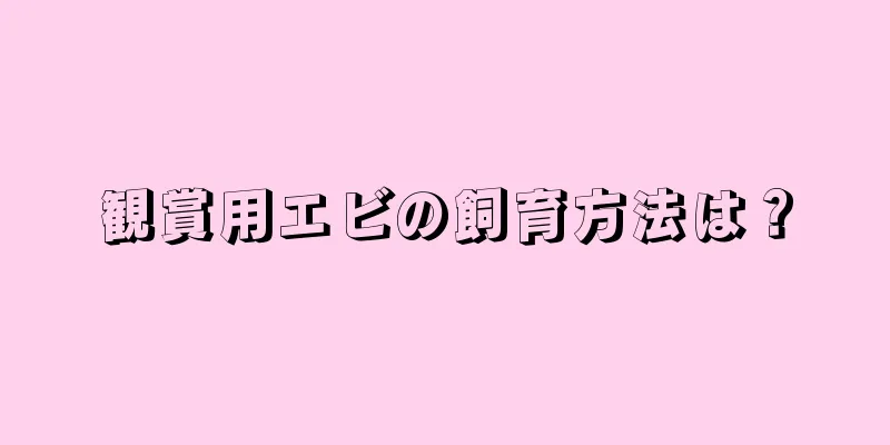 観賞用エビの飼育方法は？