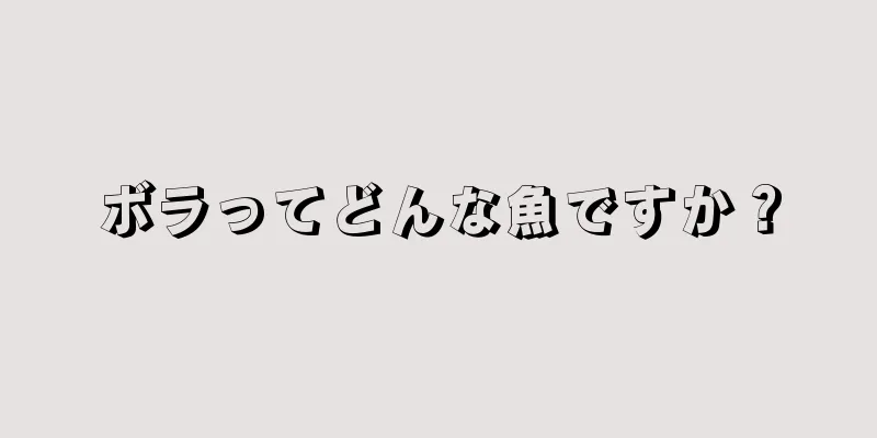 ボラってどんな魚ですか？