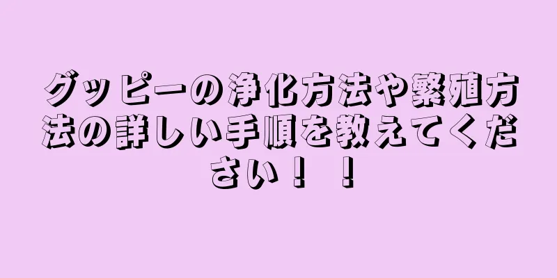 グッピーの浄化方法や繁殖方法の詳しい手順を教えてください！ ！