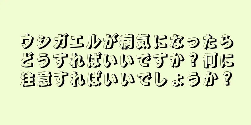 ウシガエルが病気になったらどうすればいいですか？何に注意すればいいでしょうか？