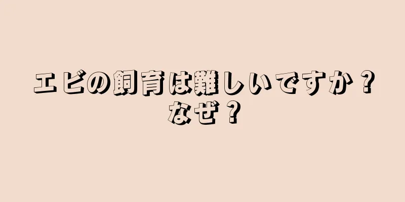 エビの飼育は難しいですか？なぜ？