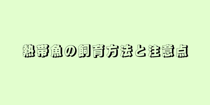 熱帯魚の飼育方法と注意点