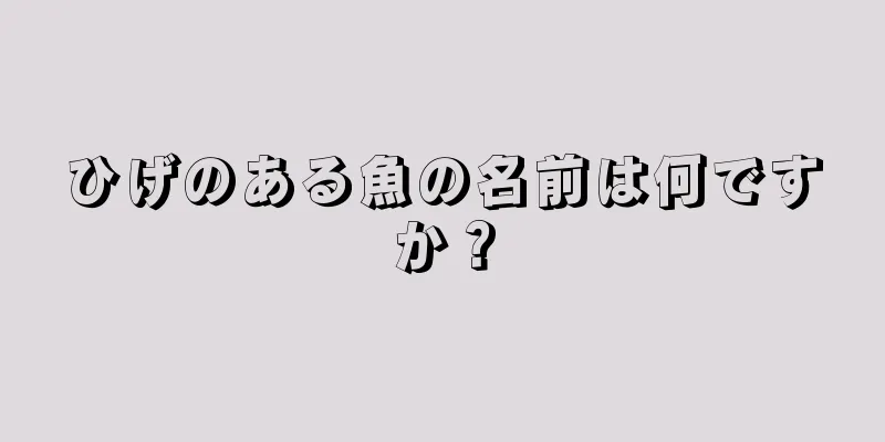 ひげのある魚の名前は何ですか？