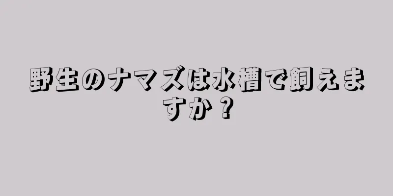 野生のナマズは水槽で飼えますか？
