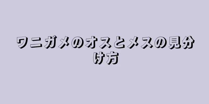 ワニガメのオスとメスの見分け方