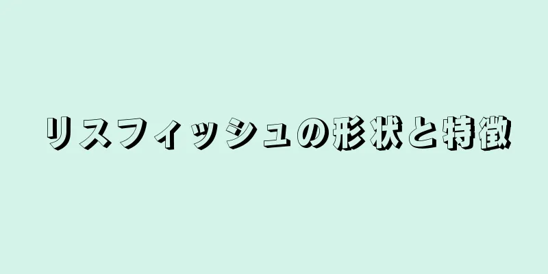 リスフィッシュの形状と特徴