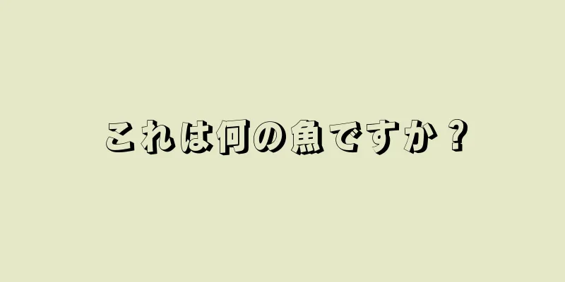 これは何の魚ですか？
