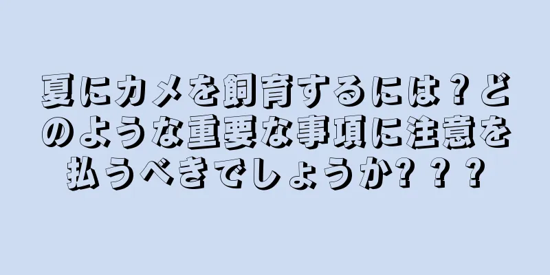 夏にカメを飼育するには？どのような重要な事項に注意を払うべきでしょうか? ? ?