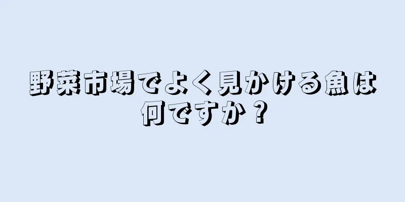 野菜市場でよく見かける魚は何ですか？