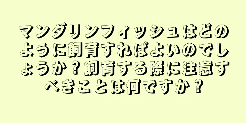 マンダリンフィッシュはどのように飼育すればよいのでしょうか？飼育する際に注意すべきことは何ですか？