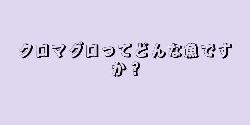 クロマグロってどんな魚ですか？