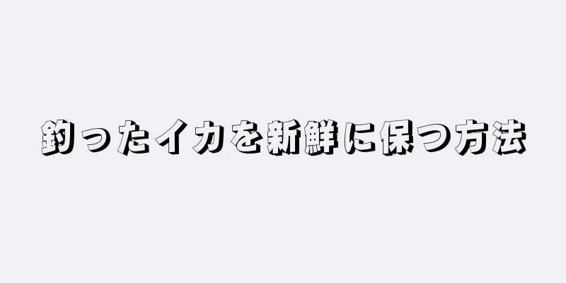釣ったイカを新鮮に保つ方法
