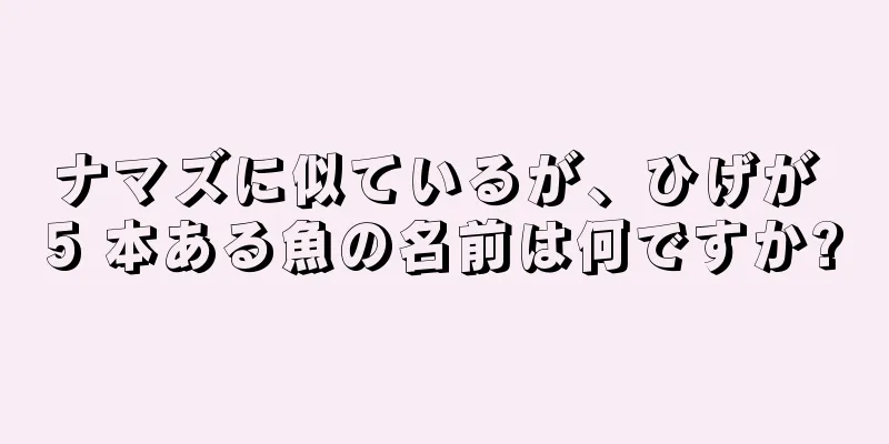 ナマズに似ているが、ひげが 5 本ある魚の名前は何ですか?