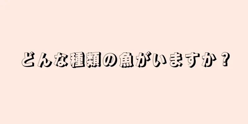 どんな種類の魚がいますか？
