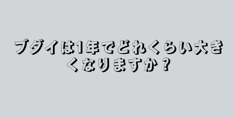 ブダイは1年でどれくらい大きくなりますか？