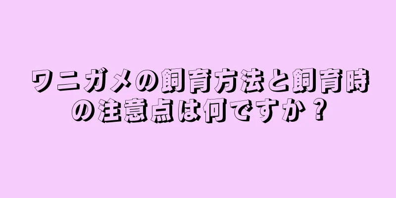 ワニガメの飼育方法と飼育時の注意点は何ですか？