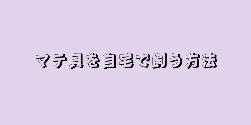 マテ貝を自宅で飼う方法