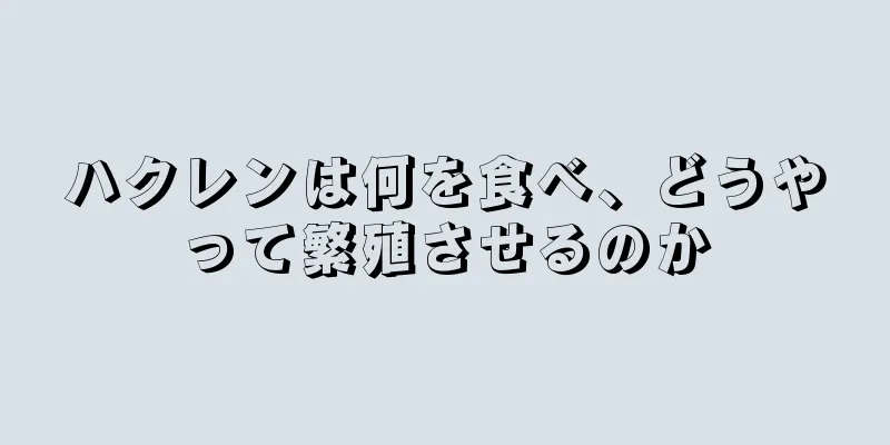 ハクレンは何を食べ、どうやって繁殖させるのか
