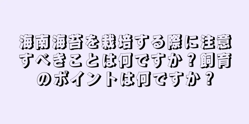 海南海苔を栽培する際に注意すべきことは何ですか？飼育のポイントは何ですか？