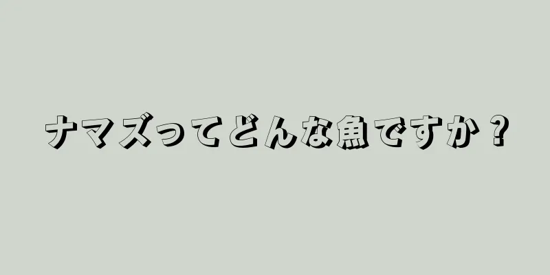 ナマズってどんな魚ですか？