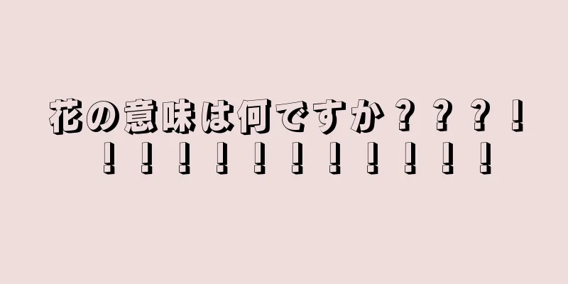 花の意味は何ですか？？？！！！！！！！！！！！！