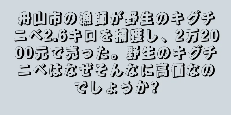 舟山市の漁師が野生のキグチニベ2.6キロを捕獲し、2万2000元で売った。野生のキグチニベはなぜそんなに高価なのでしょうか?