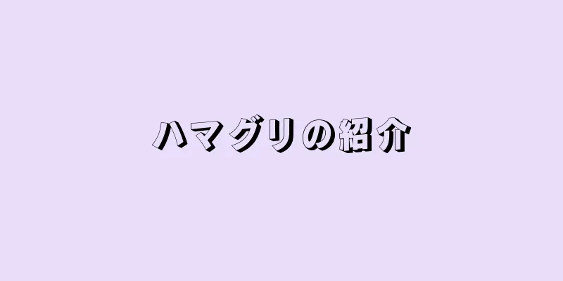 ハマグリの紹介